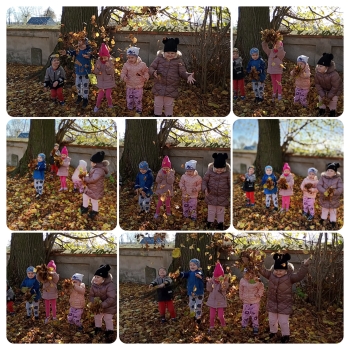 InShot_20251031_174807859