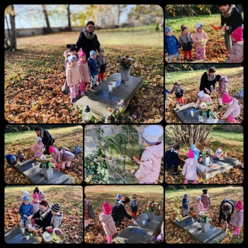 InShot_20251031_174644277