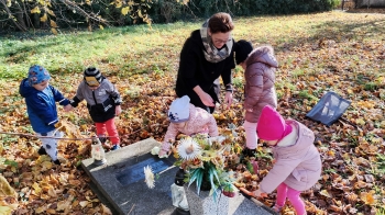 IMG_20251031_102642_hdr