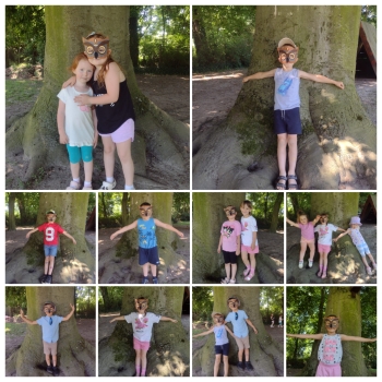 InShot_20260626_180752185