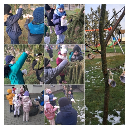 Pszczółki dbają o ptaki 