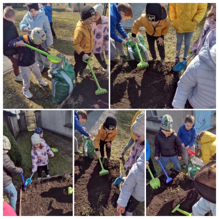 Sówki zakładają ogródek 