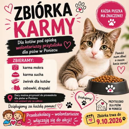 Zbiórka karmy dla kotów 